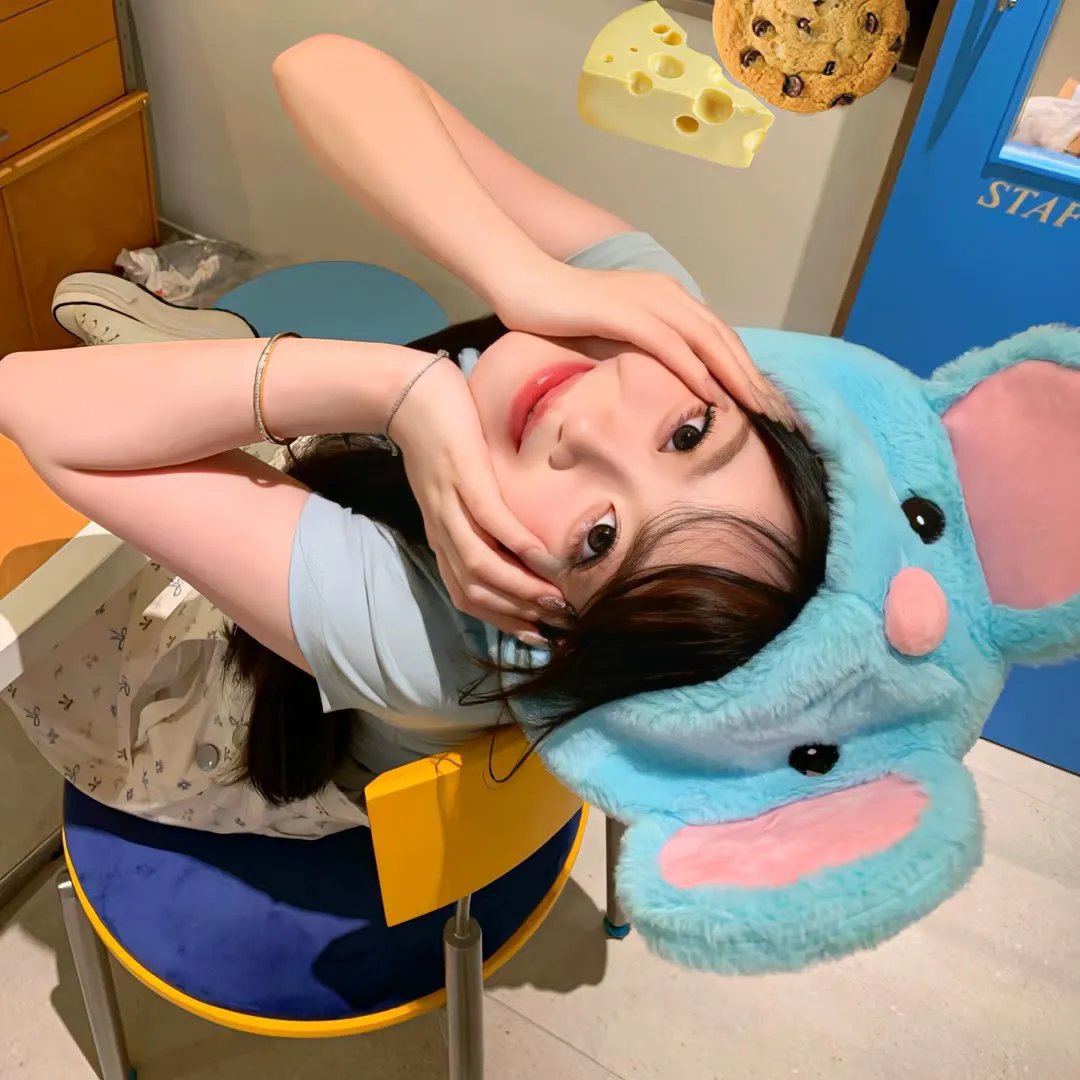 模型姐妹 封面