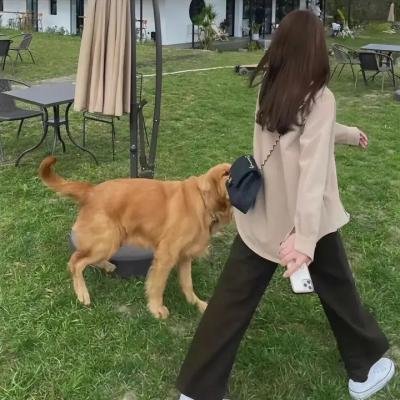 猎狐 封面
