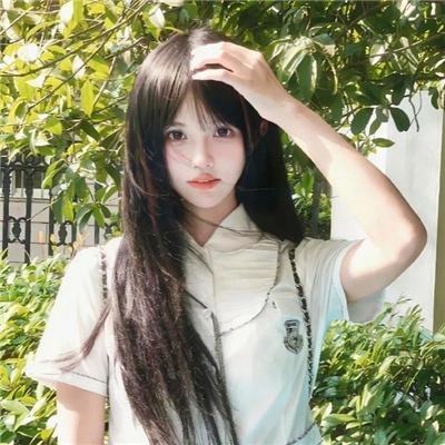 冷月伴君归 封面